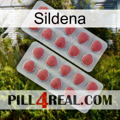 Sildena 19